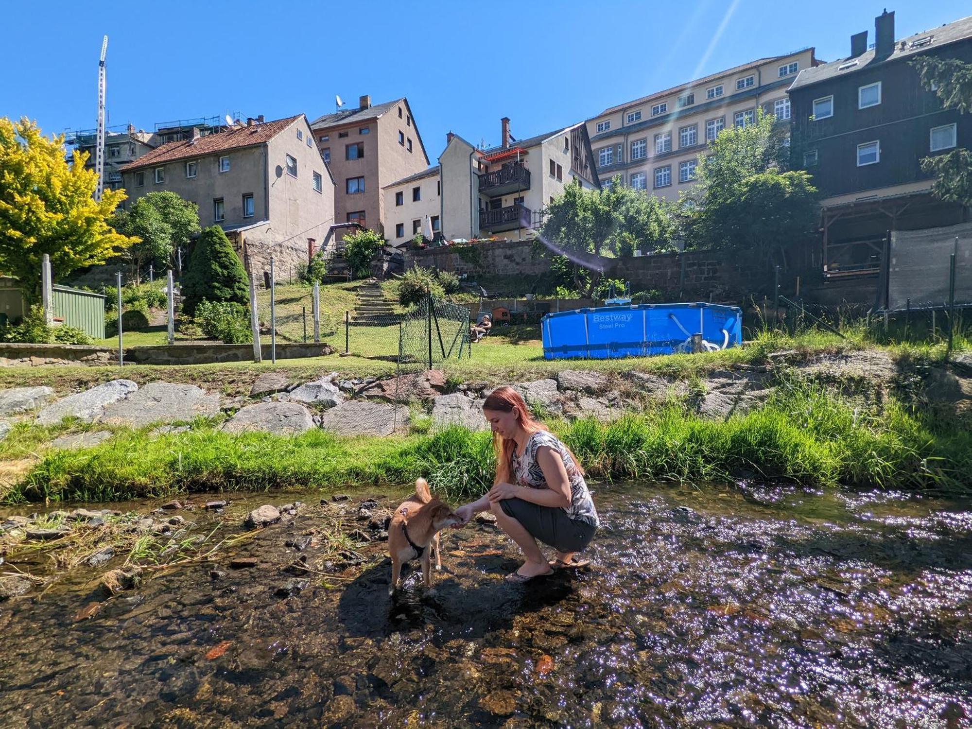 Uo2 - Urlaubsmagie - Garten, Whirlpool, Sauna Daire Sebnitz Dış mekan fotoğraf