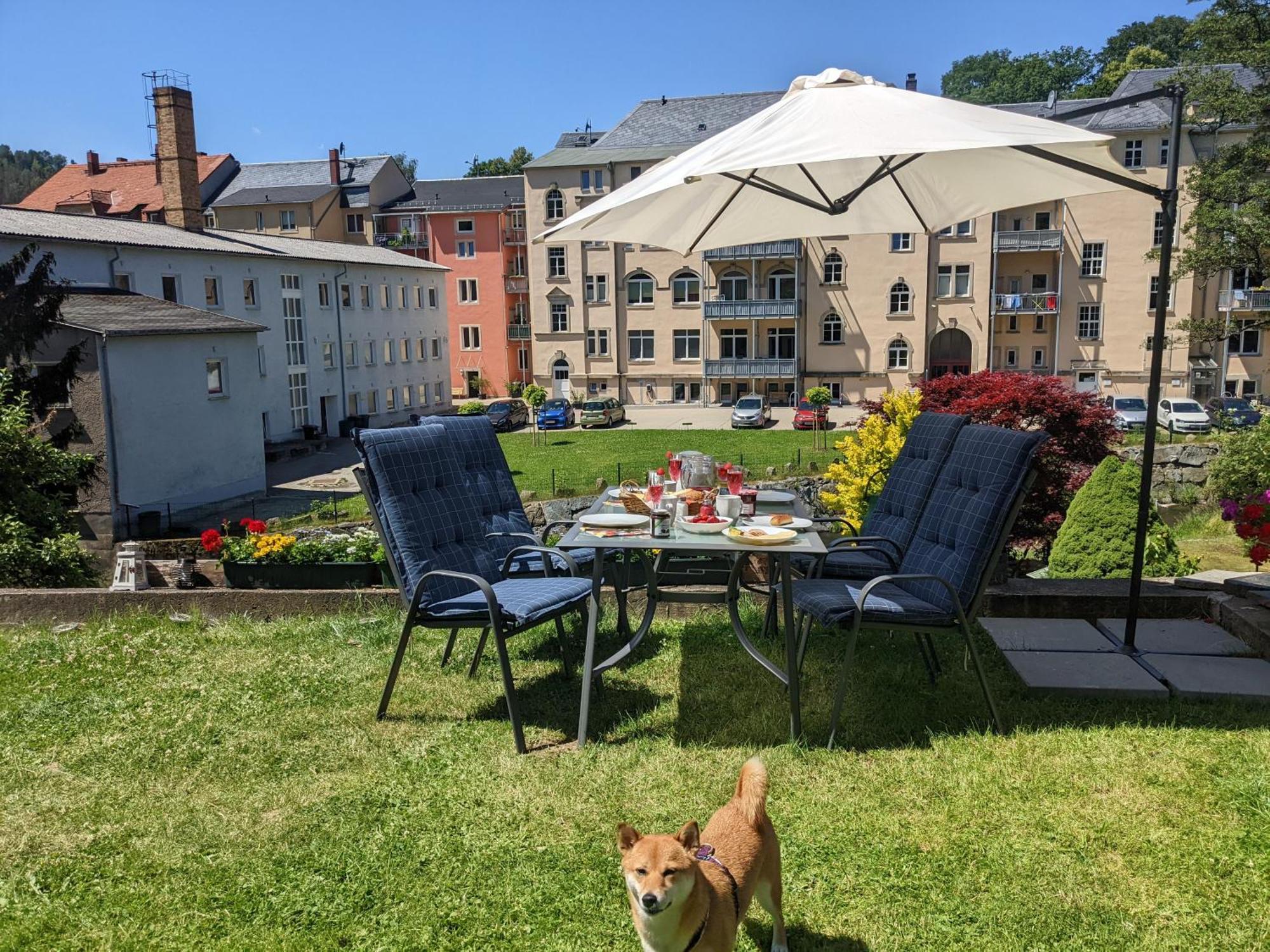 Uo2 - Urlaubsmagie - Garten, Whirlpool, Sauna Daire Sebnitz Dış mekan fotoğraf