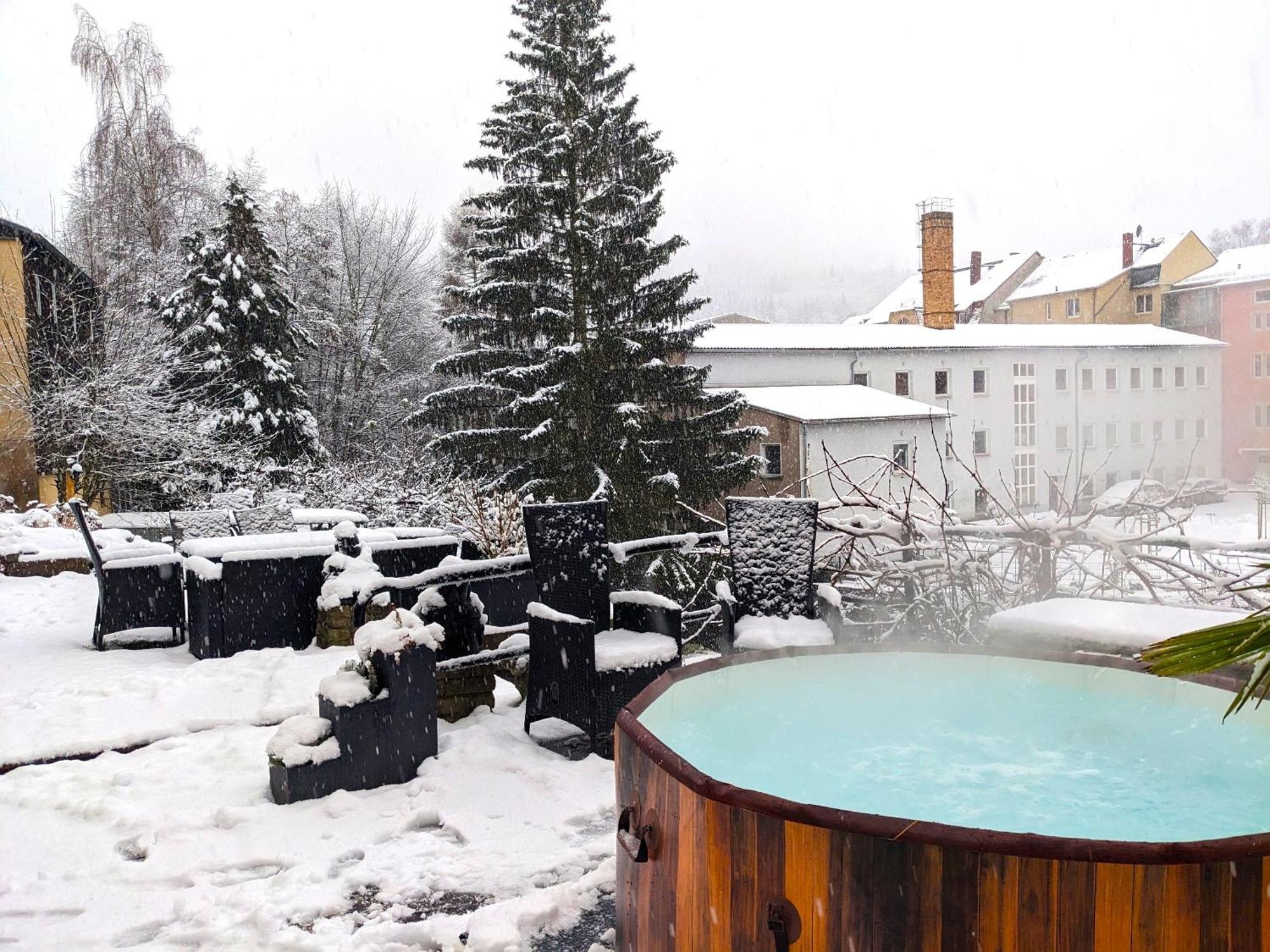 Uo2 - Urlaubsmagie - Garten, Whirlpool, Sauna Daire Sebnitz Dış mekan fotoğraf